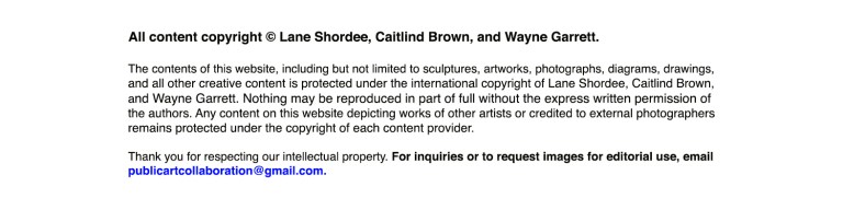 Copyright Disclaimer - Lane, Wayne, Caitlind