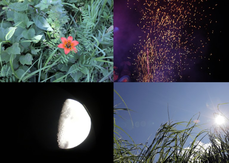 stab of pain, stab of beauty